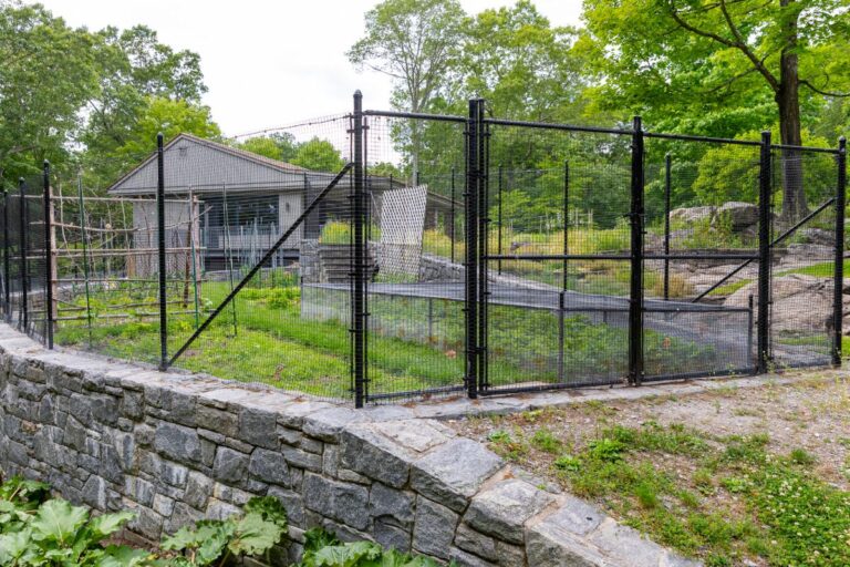 A metal mesh fence protects a garden above a stone retaining wall.